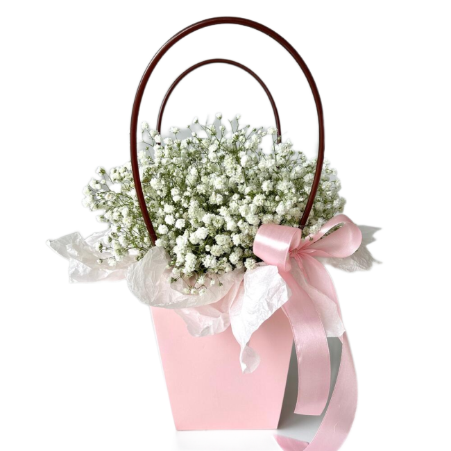 Букет цветов "Сумочка с белой гипсофилой" Букет цветов "Сумочка с белой гипсофилой"